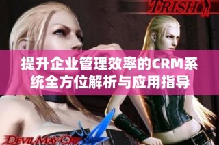 提升企业管理效率的CRM系统全方位解析与应用指导